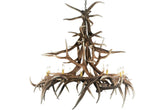 Faux Elk 15 Antler Chandelier